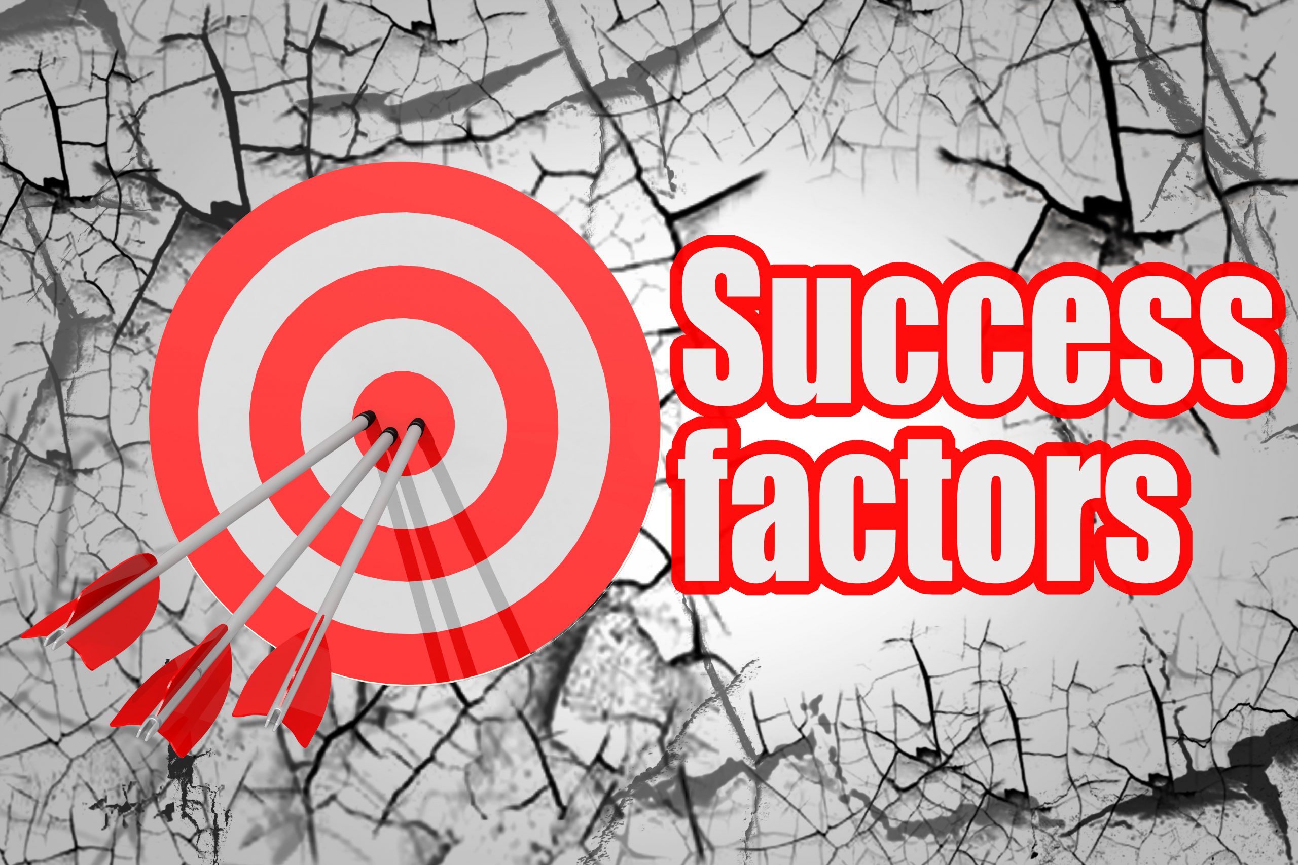 Another Name For Key Success Factors